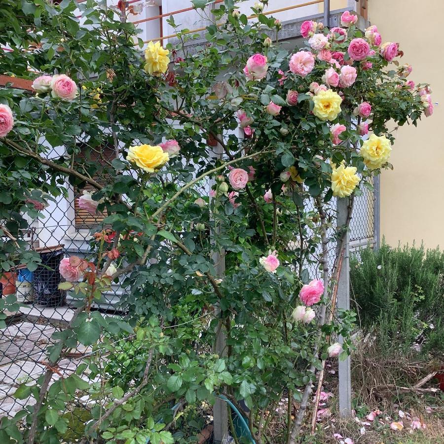 Ai Quattro Soli Privano Exterior foto